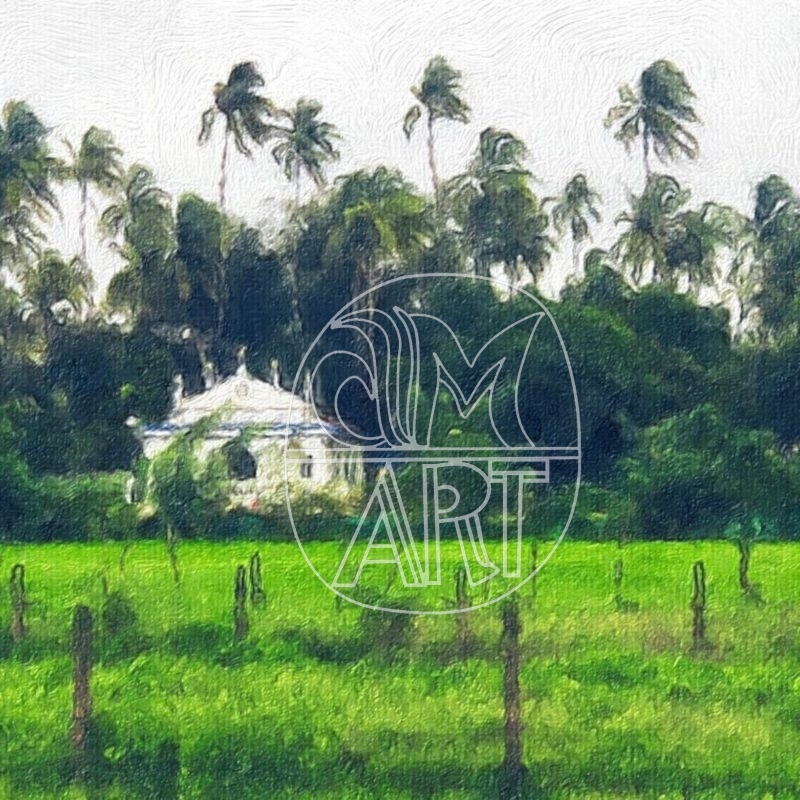 Goa Landscapes 20