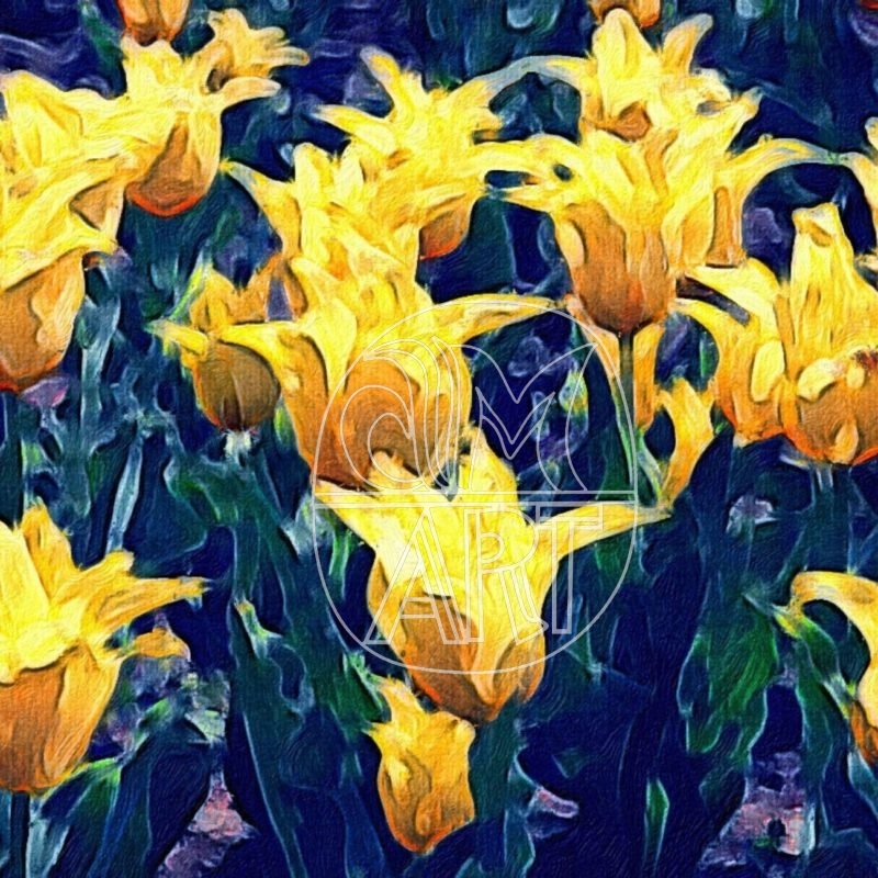 Goa Florals3