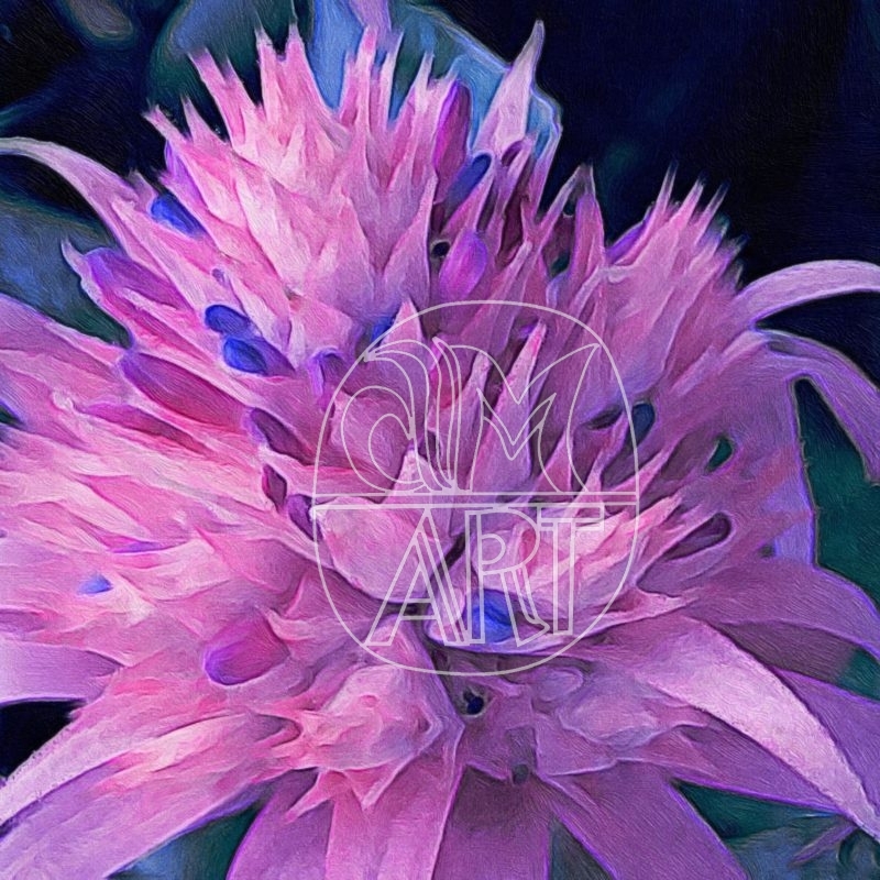Goa Florals 5
