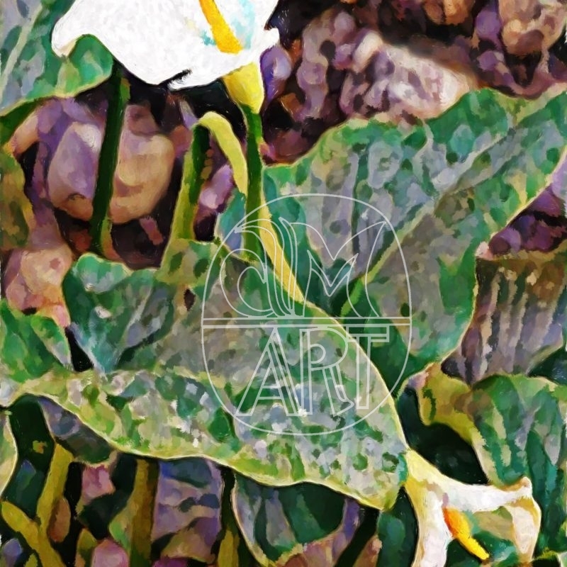 Goa Florals 7