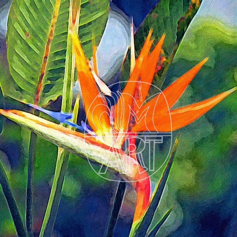 Goa Florals 9