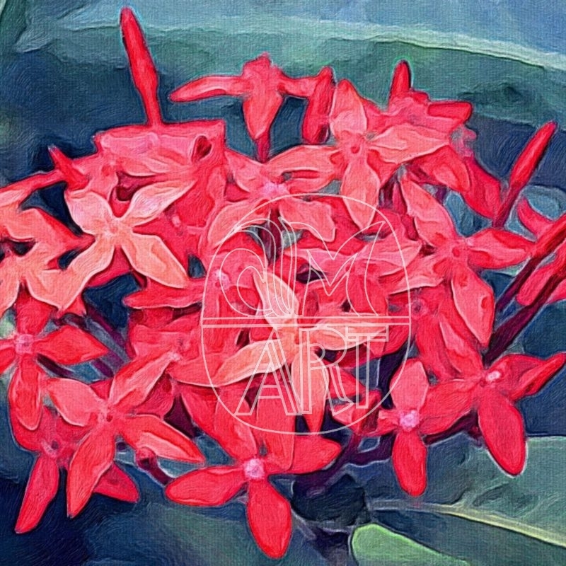 Goa Florals 13