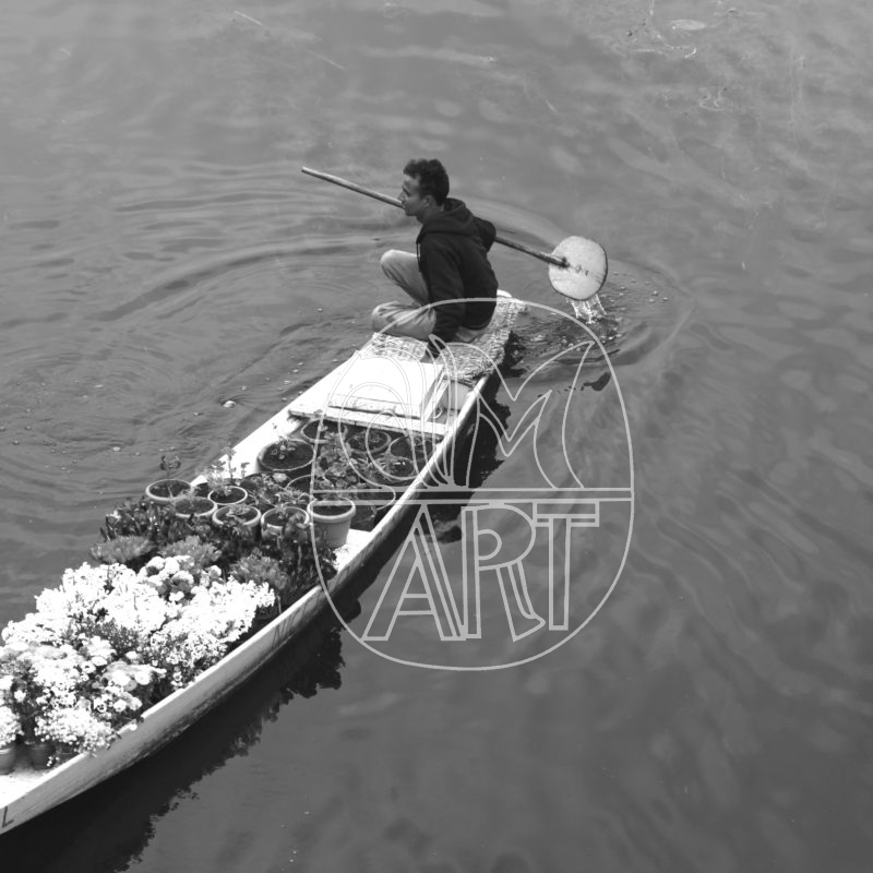 Floral Ferry/ Bouquet Boat