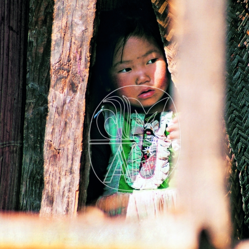 "Apa Tani girl Reru Village Arunachal Pradesh, 2000"