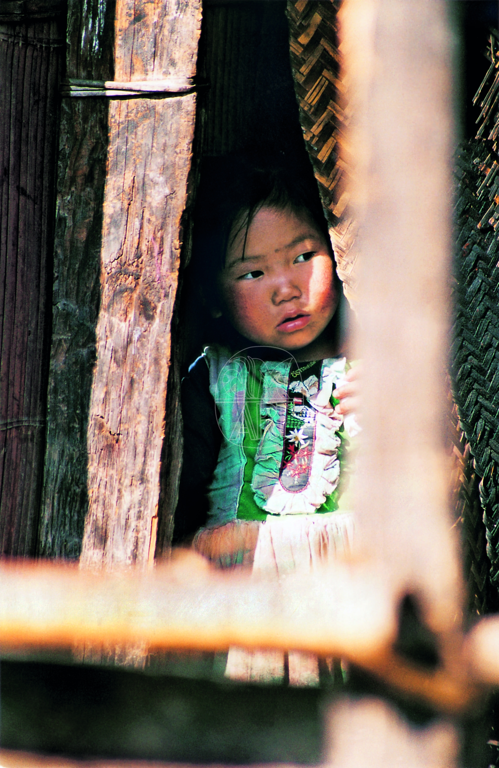 "Apa Tani girl Reru Village  Arunachal Pradesh, 2000"