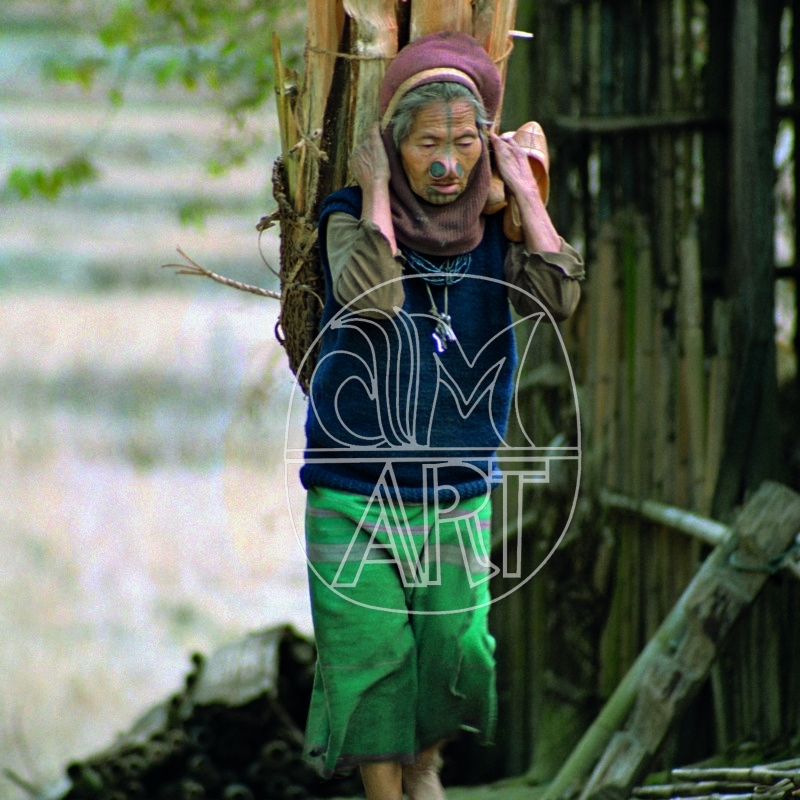 "Apa Tani Woman Reru Village, Arunachal Pradesh, 2000 "