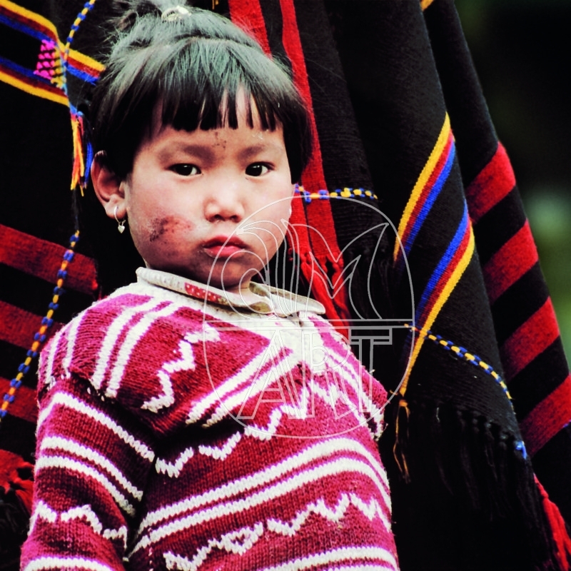 "Apa Tani girl Hija Village Arunachal Pradesh, 2000 "