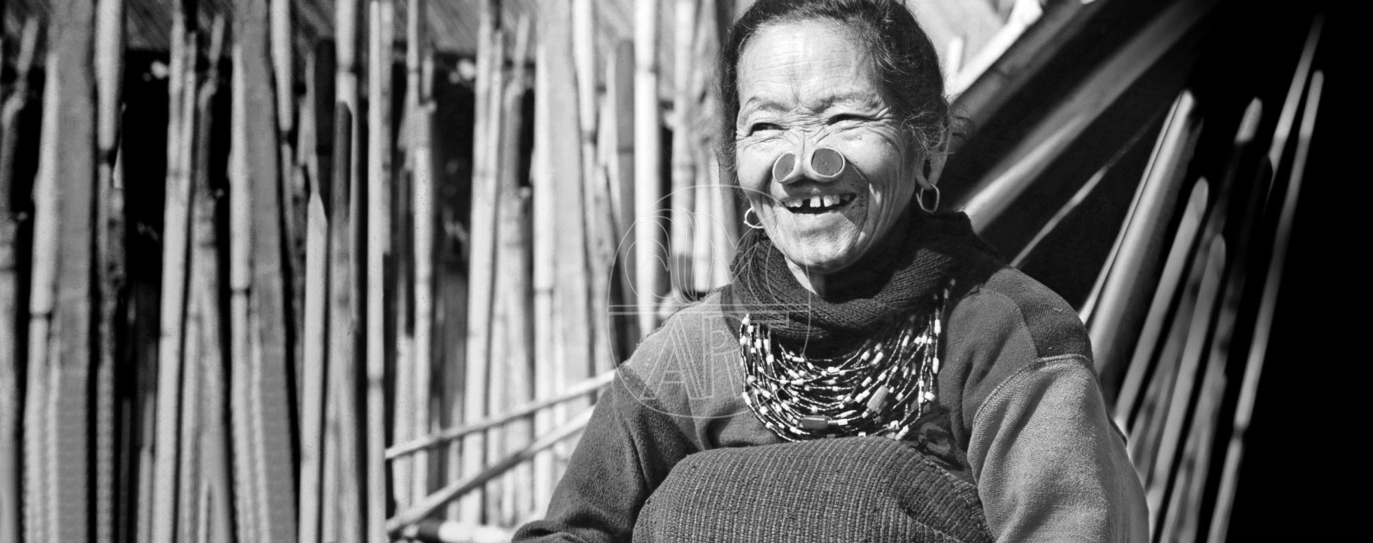 Apa Tani woman Reru Village Arunachal Pradesh, 2000