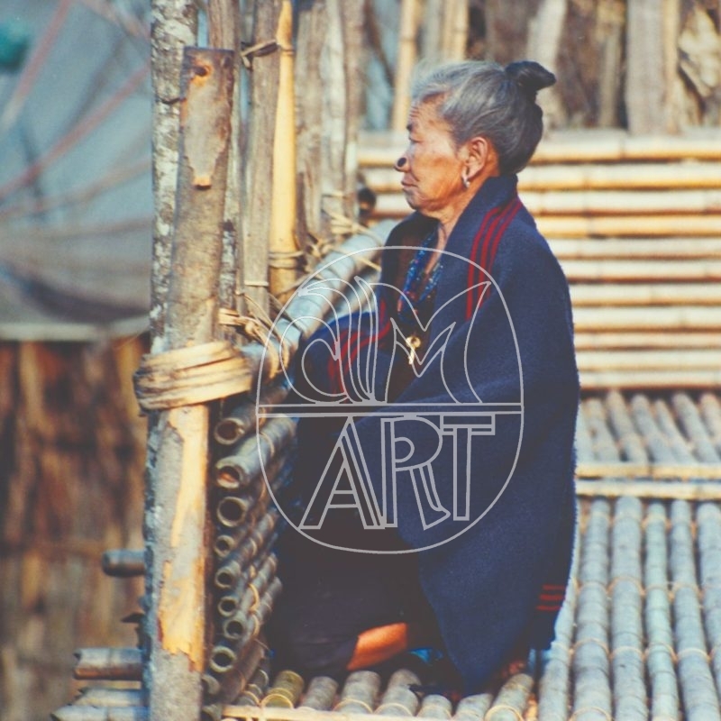 Apa Tani woman Hija Village Arunachal Pradesh, 2000