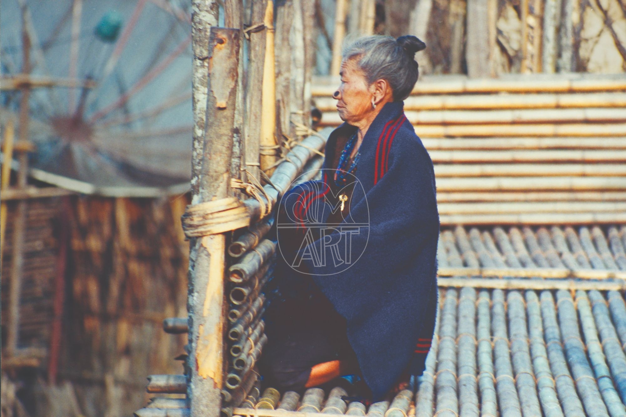 Apa Tani woman Hija Village Arunachal Pradesh, 2000