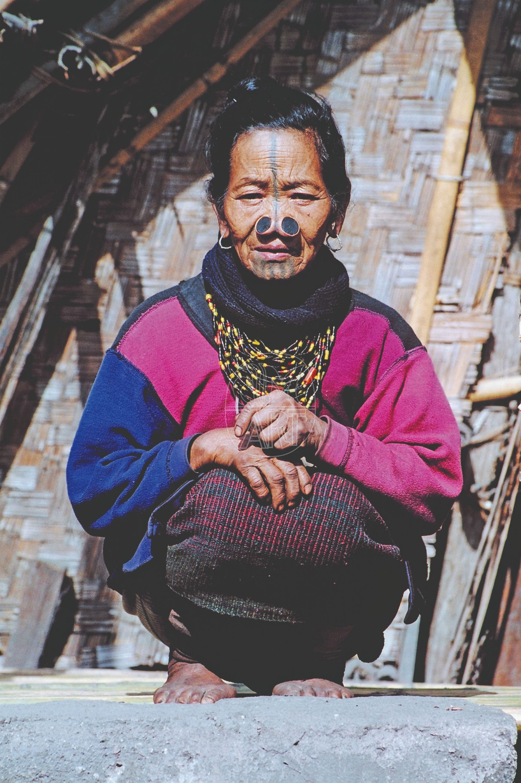 Apa Tani woman Reru Village Arunachal Pradesh, 2000