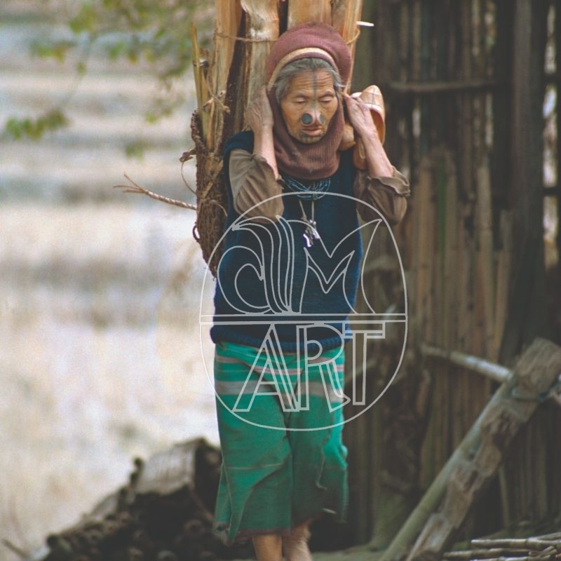Apa Tani woman Reru Village Arunachal Pradesh, 2000