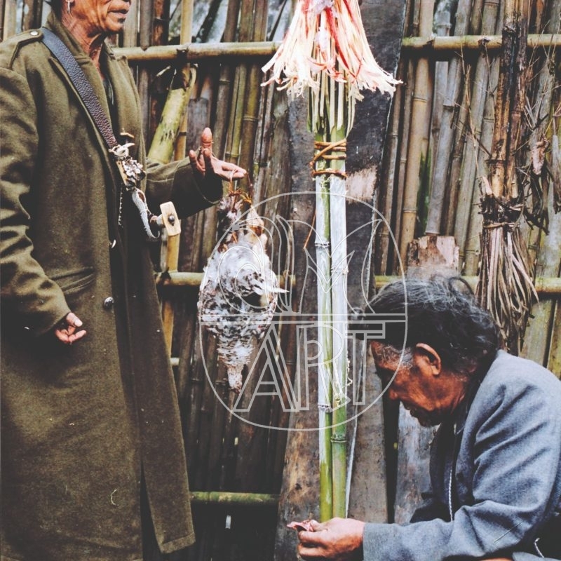 Apa Tani Nyibus conducting a chicken liver divination Reru Village Arunachal Pradesh, 2000