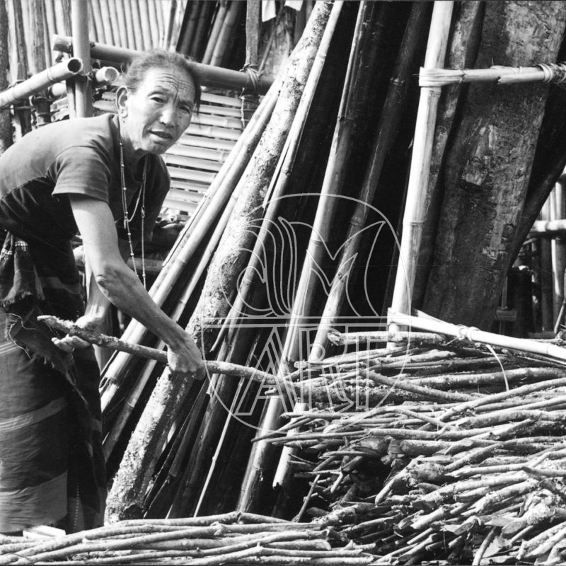 Apa Tani woman Reru Village Arunachal Pradesh, 2000