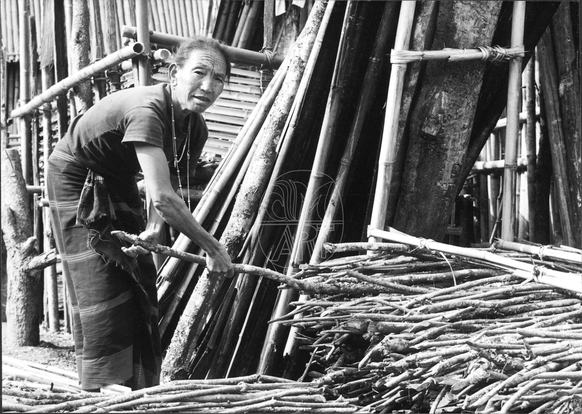 Apa Tani woman Reru Village Arunachal Pradesh, 2000