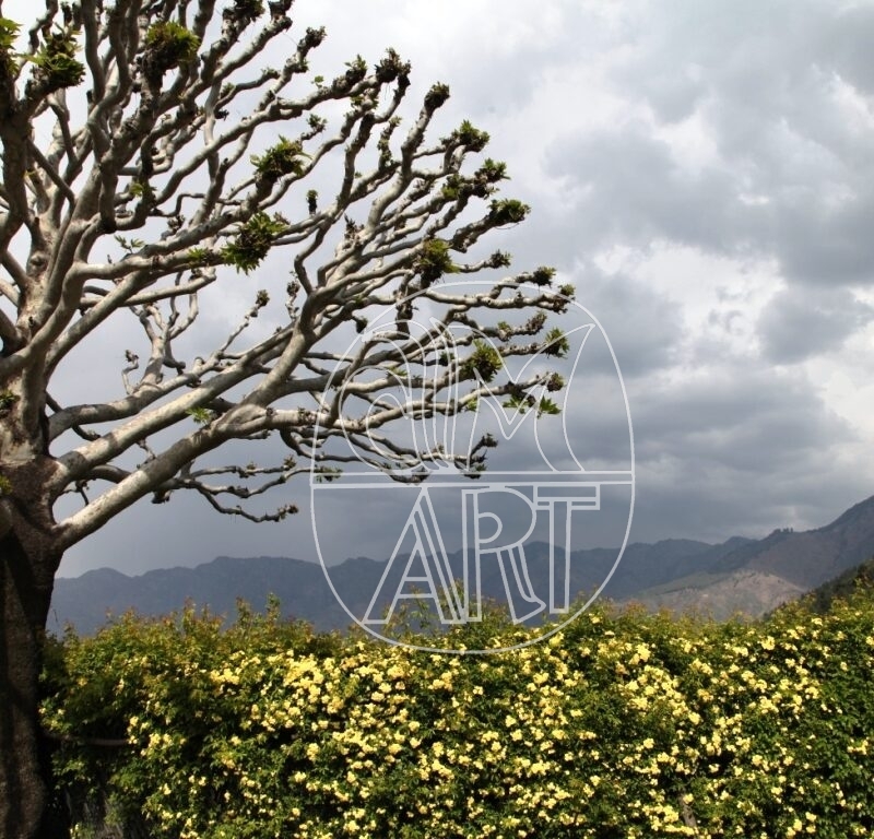 Firdaus 6 Photography