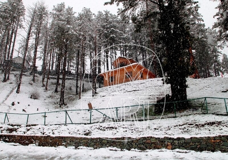 Firdaus Art Photography