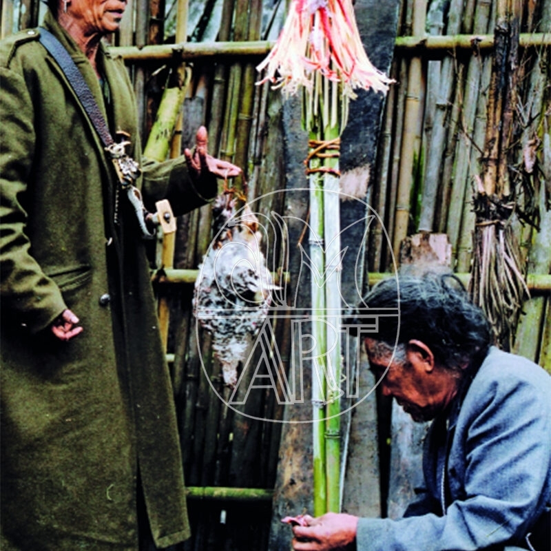 "Apa Tani Nyibus conducting a chicken liver divination Reru Village Arunachal Pradesh, 2000"